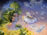 Tn Josephine Wall 62